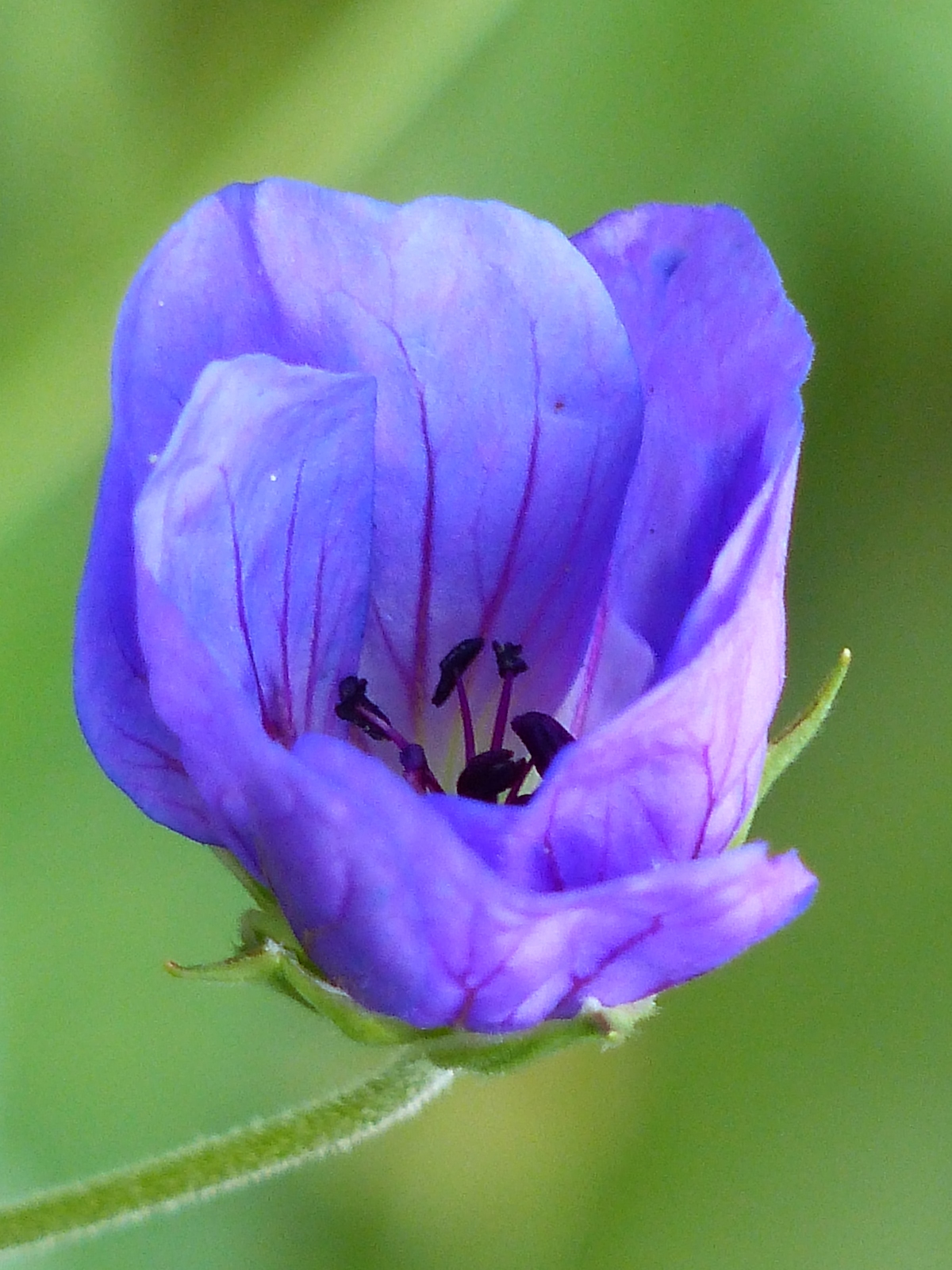 p1040227