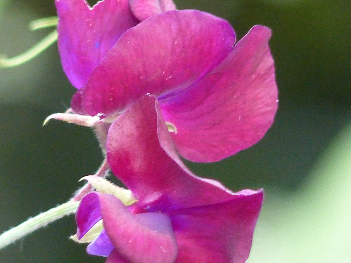 p1040229