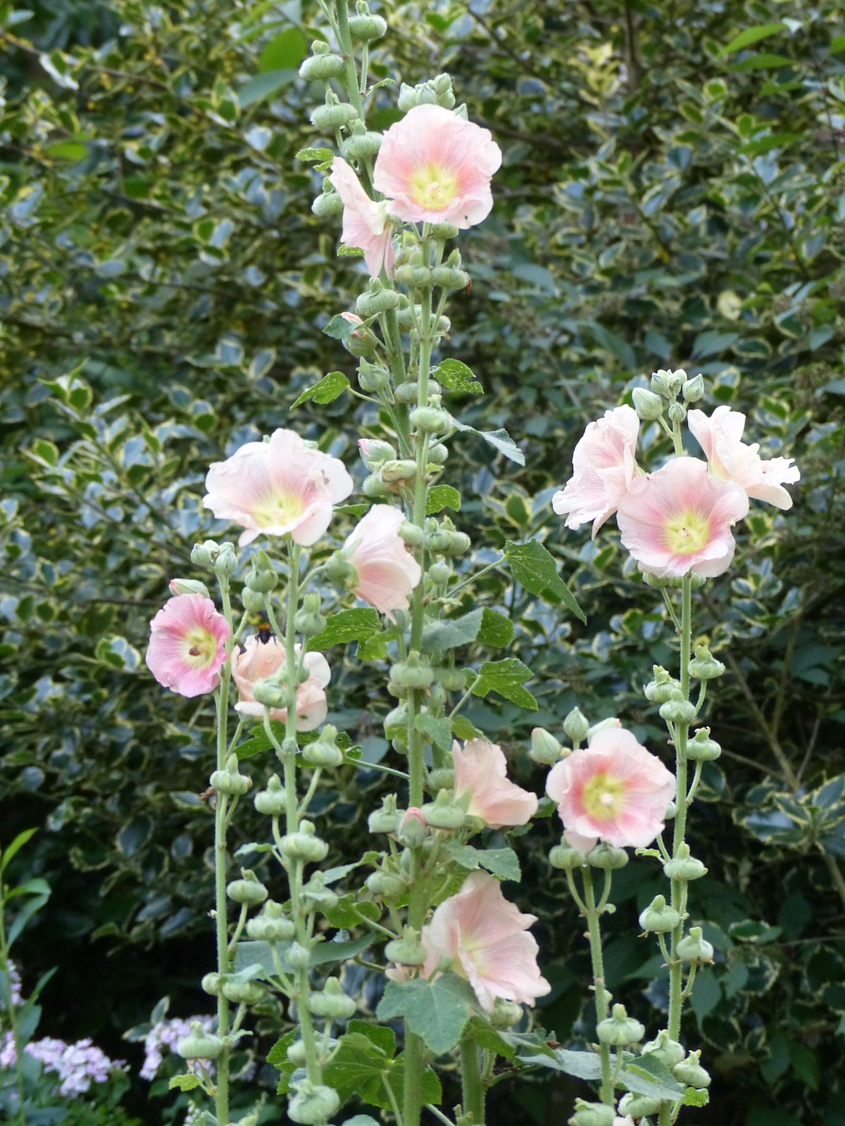 p1040241