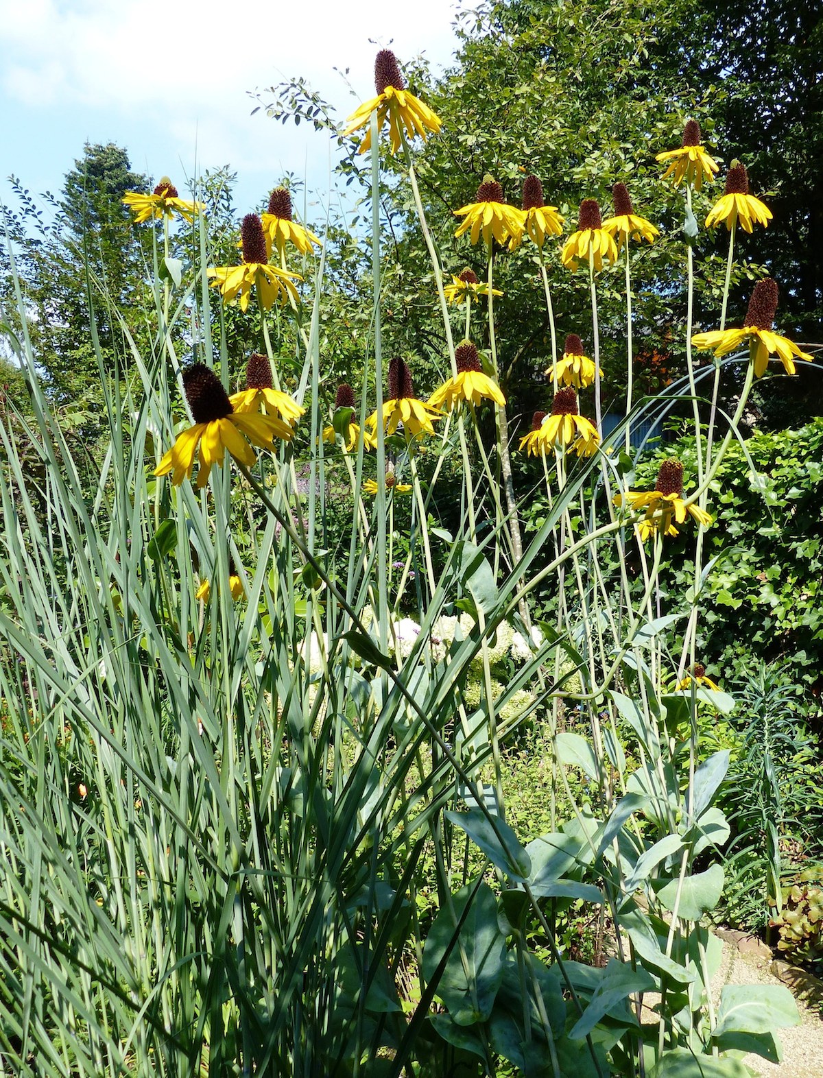 p1040425