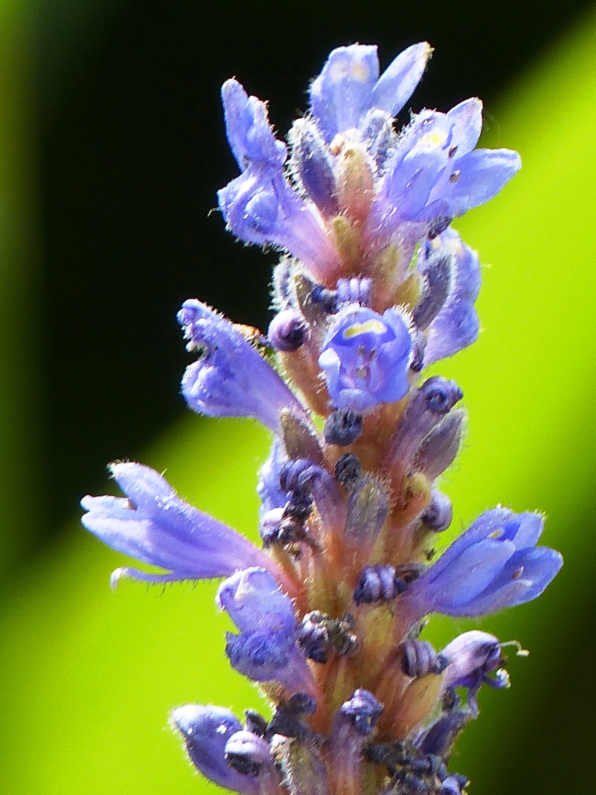 p1040484