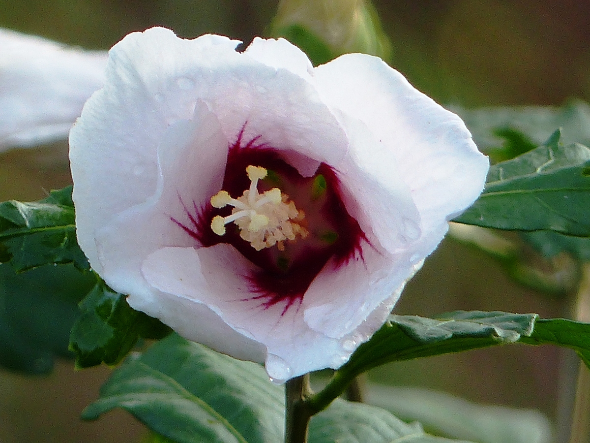 p1040877