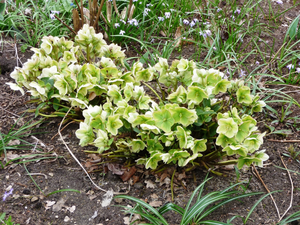 p1230205