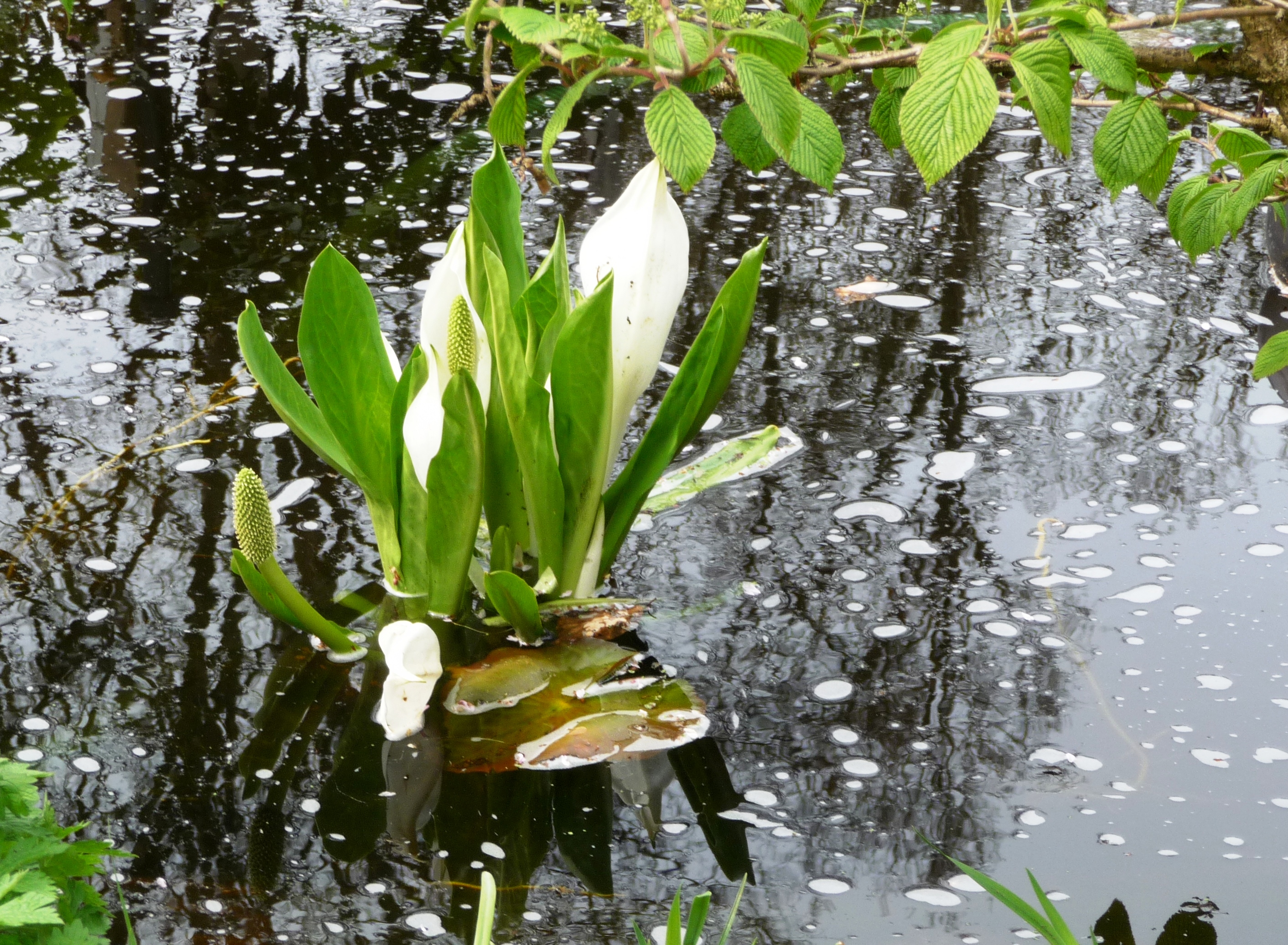 p1230259