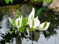 april-2012-009