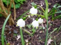 april-2012-029