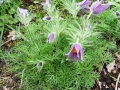 april-2012-032