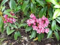 juni2012-098
