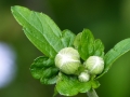 p1040200
