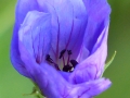 p1040227