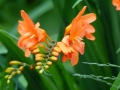 p1040239