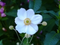 p1040469