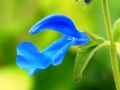 p1040497