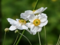p1040504