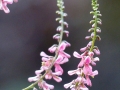 p1040856