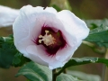 p1040877