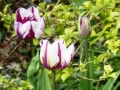 p1080796
