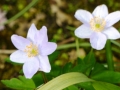 p1080800