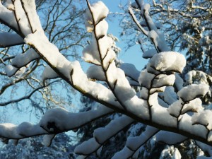 een dik pak sneeuw